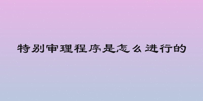 特别审理程序是怎么进行的