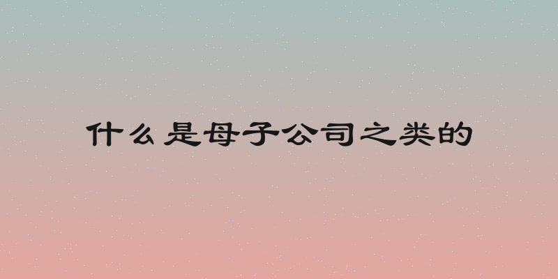 什么是母子公司之类的