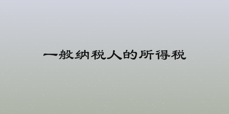 一般纳税人的所得税