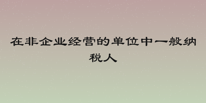 在非企业经营的单位中一般纳税人