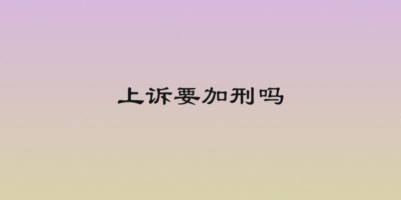 上诉要加刑吗