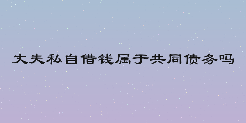 丈夫私自借钱属于共同债务吗