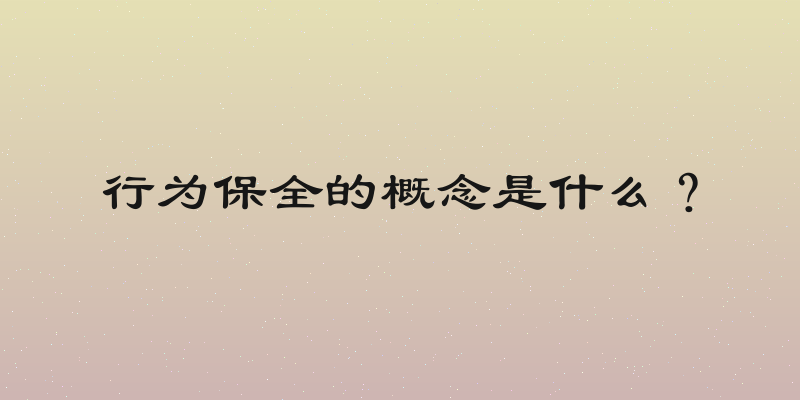 行为保全的概念是什么？