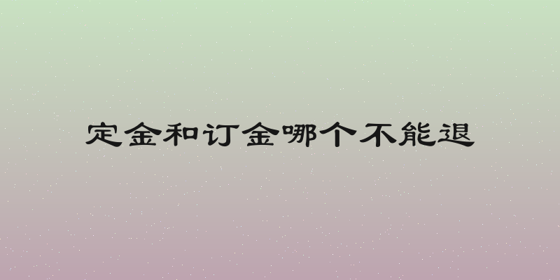 定金和订金哪个不能退