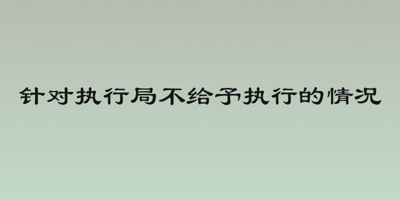 针对执行局不给予执行的情况