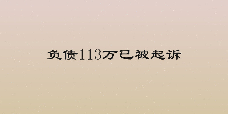 负债113万已被起诉