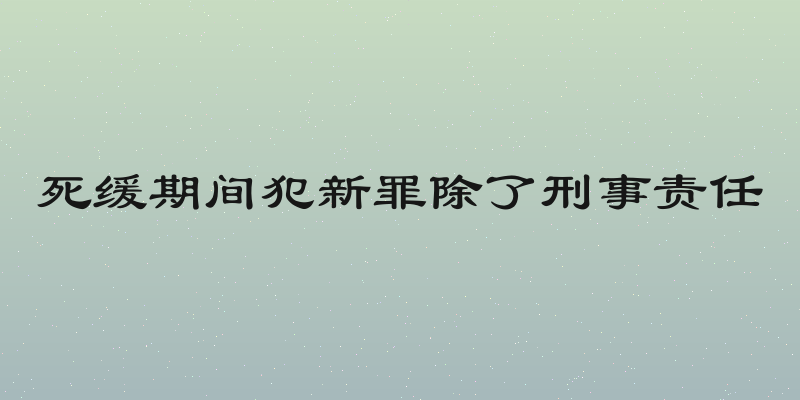 死缓期间犯新罪除了刑事责任