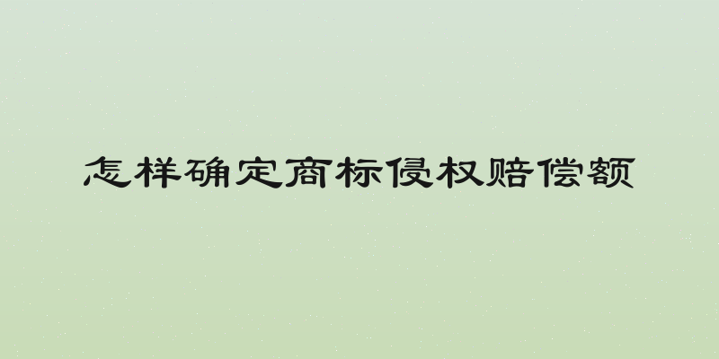 怎样确定商标侵权赔偿额