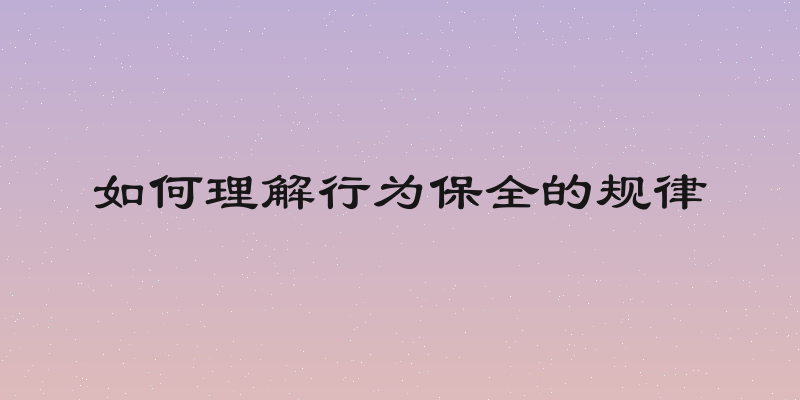 如何理解行为保全的规律