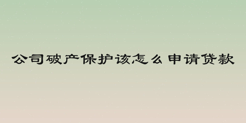 公司破产保护该怎么申请贷款