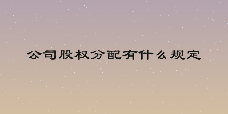 公司股权分配有什么规定