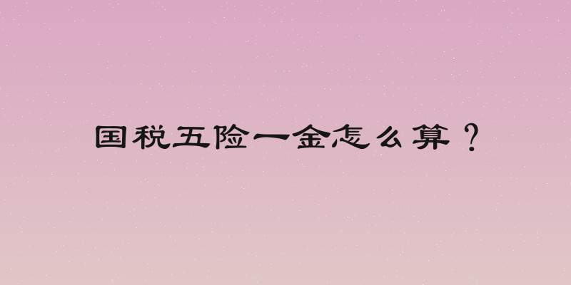 国税五险一金怎么算？