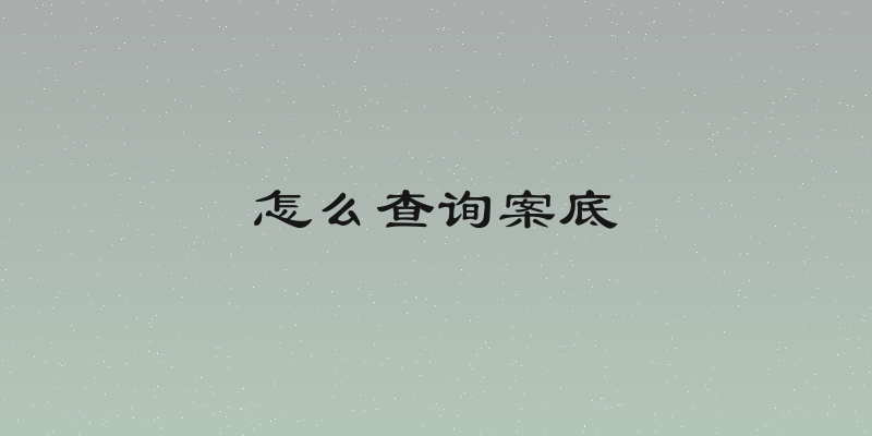怎么查询案底