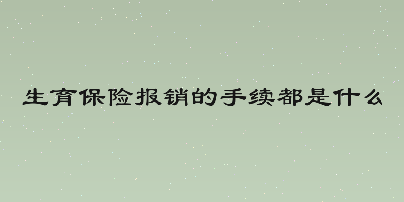 生育保险报销的手续都是什么
