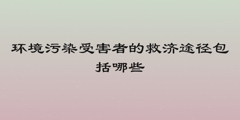 环境污染受害者的救济途径包括哪些
