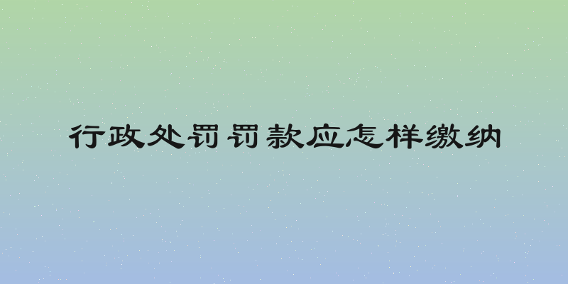 行政处罚罚款应怎样缴纳
