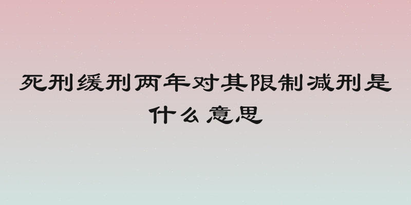 死刑缓刑两年对其限制减刑是什么意思