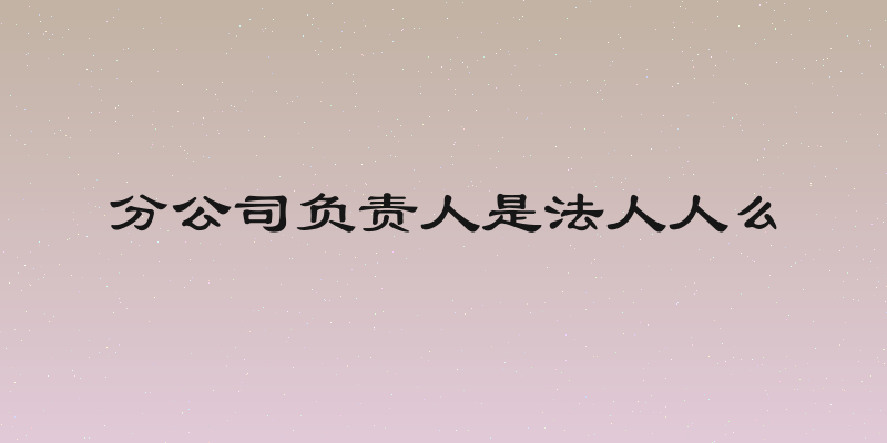 分公司负责人是法人人么