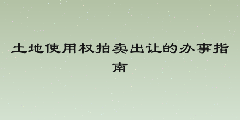 土地使用权拍卖出让的办事指南