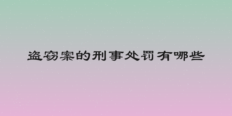 盗窃案的刑事处罚有哪些