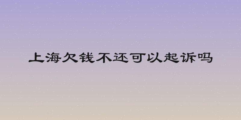 上海欠钱不还可以起诉吗