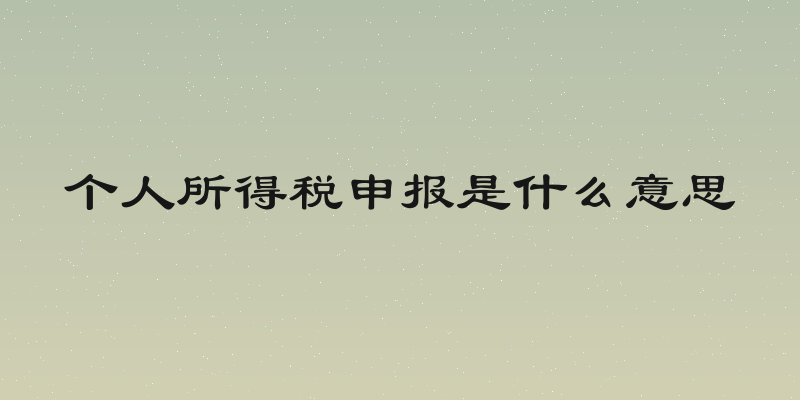 个人所得税申报是什么意思