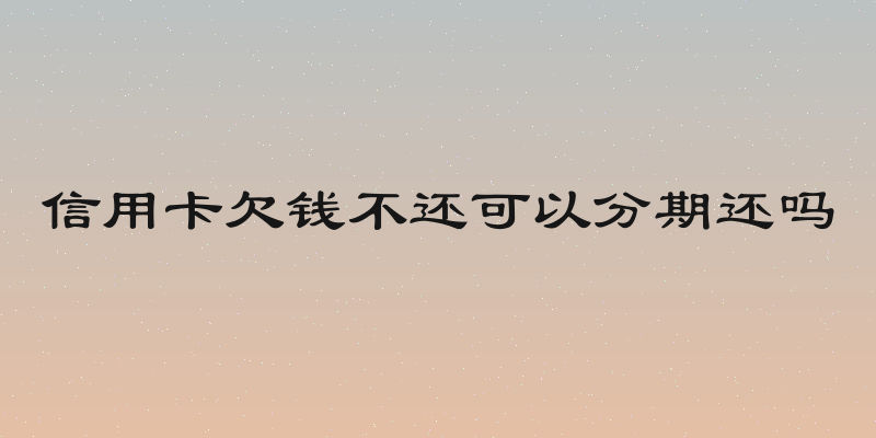 信用卡欠钱不还可以分期还吗
