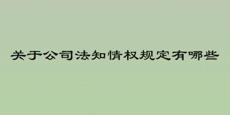 关于公司法知情权规定有哪些