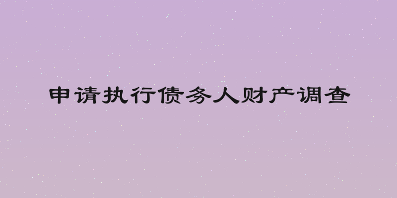 申请执行债务人财产调查