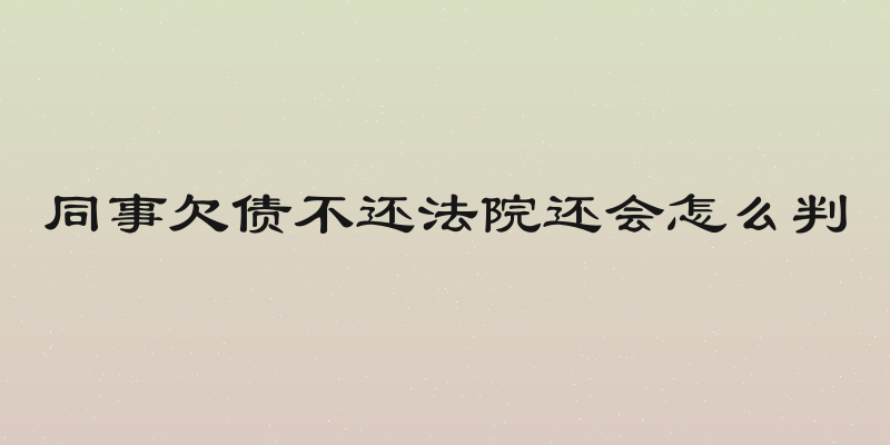 同事欠债不还法院还会怎么判