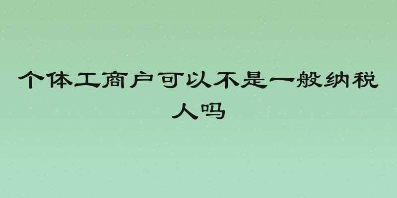 个体工商户可以不是一般纳税人吗