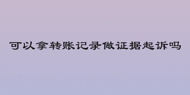 可以拿转账记录做证据起诉吗