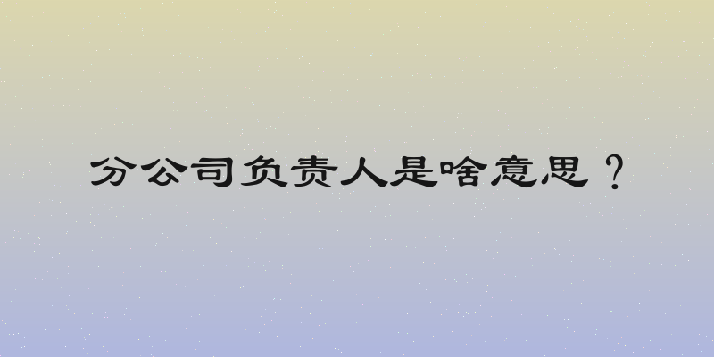 分公司负责人是啥意思？
