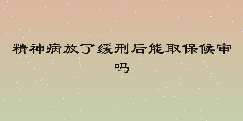 精神病放了缓刑后能取保候审吗