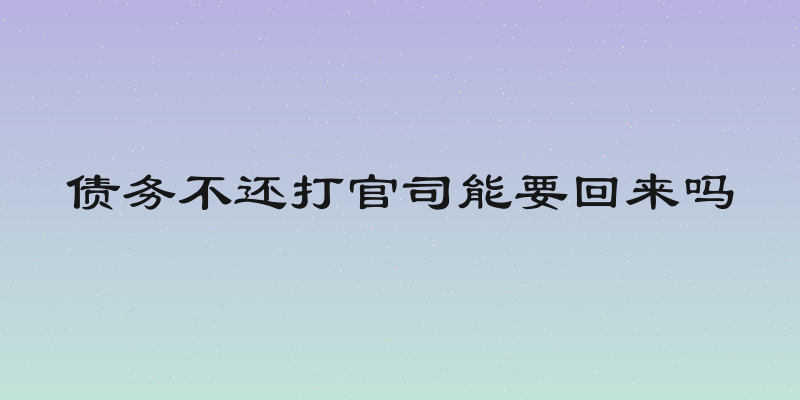 债务不还打官司能要回来吗