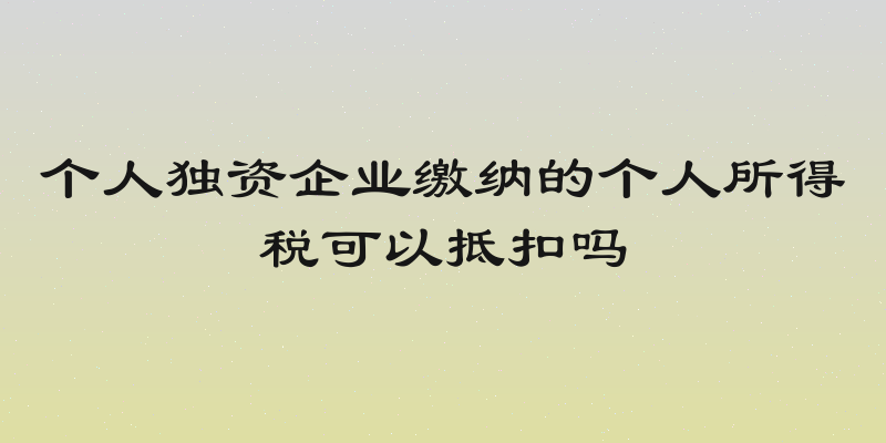 个人独资企业缴纳的个人所得税可以抵扣吗
