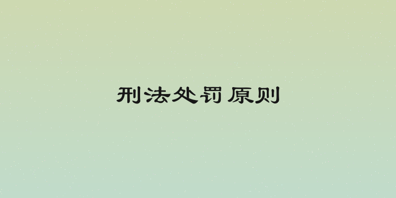 刑法处罚原则