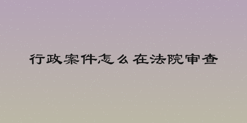 行政案件怎么在法院审查