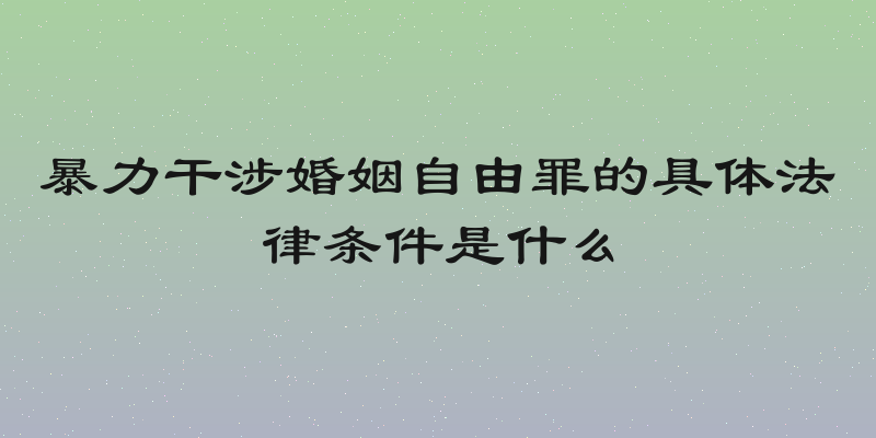 暴力干涉婚姻自由罪的具体法律条件是什么