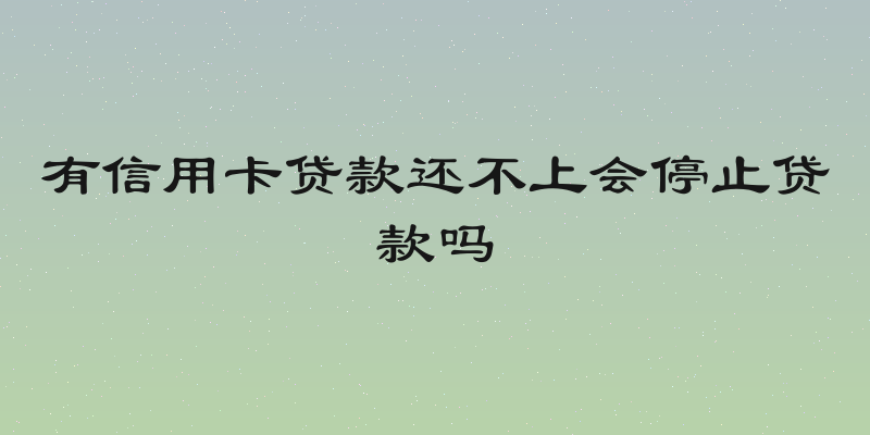 有信用卡贷款还不上会停止贷款吗