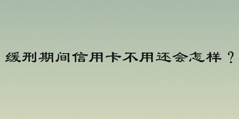 缓刑期间信用卡不用还会怎样？