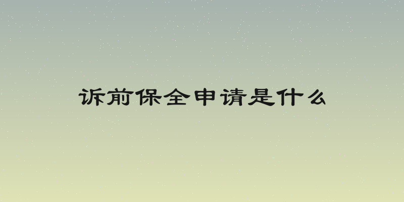 诉前保全申请是什么