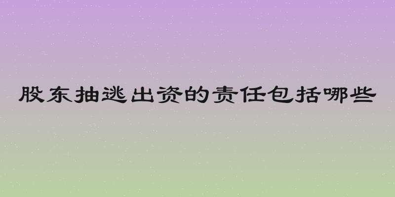 股东抽逃出资的责任包括哪些