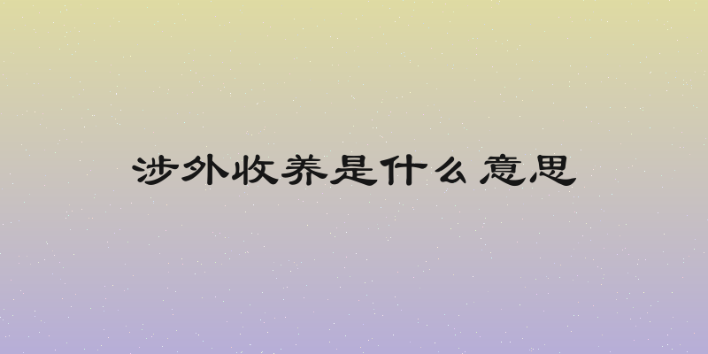 涉外收养是什么意思