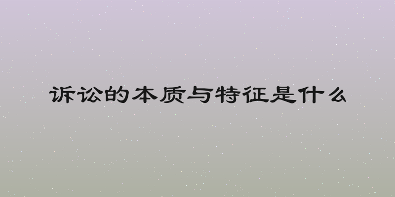 诉讼的本质与特征是什么