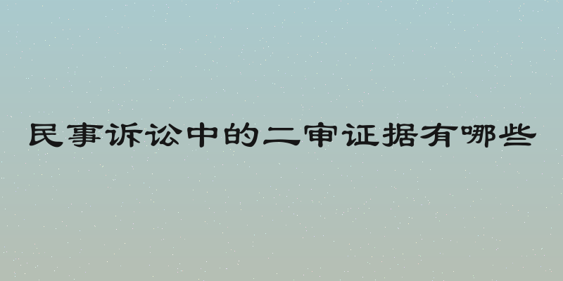 民事诉讼中的二审证据有哪些