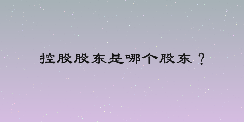 控股股东是哪个股东？