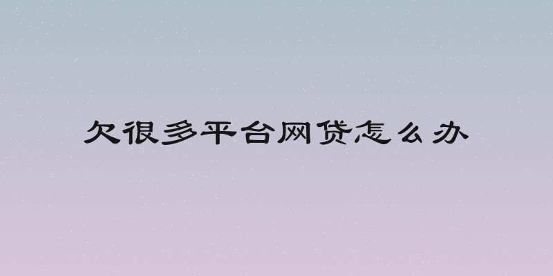 欠很多平台网贷怎么办