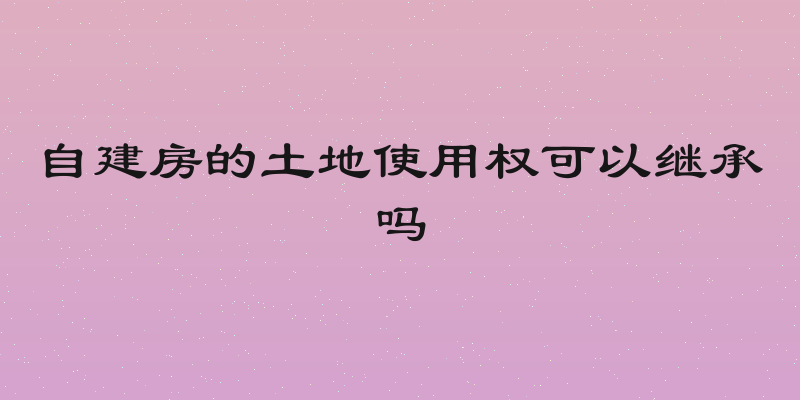 自建房的土地使用权可以继承吗