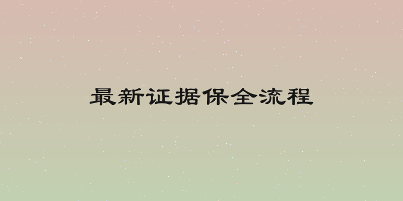 最新证据保全流程